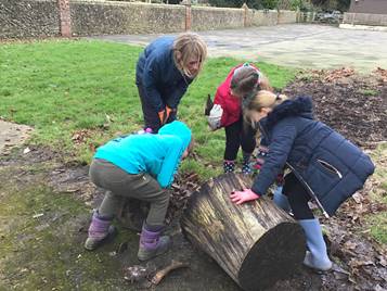 Forest School – Charing Church of England Primary School